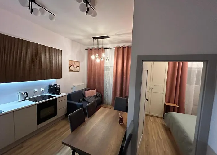 New Comfortable Apartment With Patio On Klimeckiego Street